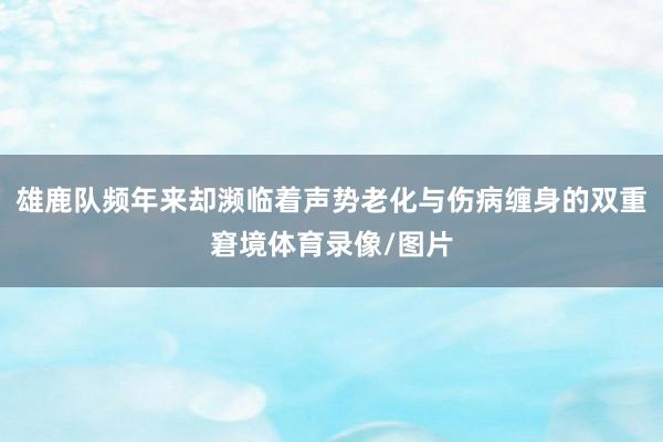 雄鹿队频年来却濒临着声势老化与伤病缠身的双重窘境体育录像/图片